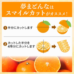 【紅まどんなと同品種】【訳あり】 夢まどんな 3kg 武田屋