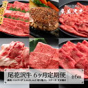 【ふるさと納税】尾花沢牛 6ヶ月 定期便 ( 焼肉 / ハンバーグ / しゃぶしゃぶ / ステーキ / すき焼き / 切り落とし ) 全6回 冷蔵配送 冷凍配送 国産牛 山形牛 尾花沢牛 黒毛和牛 牛肉 お肉 食べ比べ 牛 定期 ふるさと納税定期便 お楽しみ 頒布会 毎月発送 送料無料 nj-tkogx6