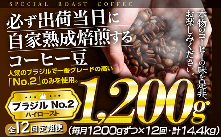 【必ず出荷日に自家熟成焙煎】コーヒー豆 ブラジルNo.２(1,200g)【12回定期便】 ブラジル豆の最高グレード J.C.Q.A認定コーヒーインストラクター1級のこだわり【SASEBO Coffee TOMINAGA】人気コーヒー豆 新鮮