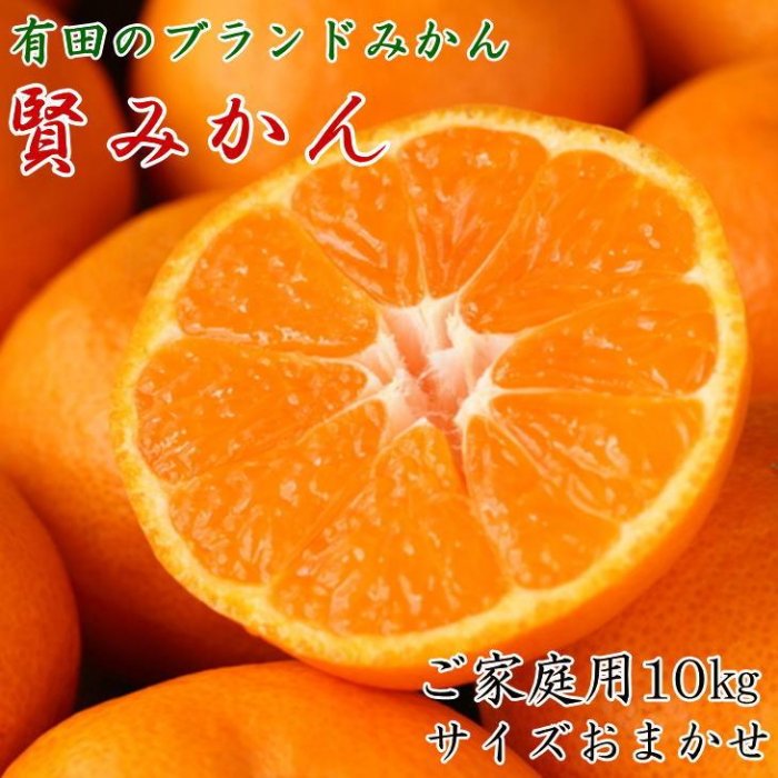 【ふるさと納税】有田のブランド「賢みかん」10kg(S～Lサイズおまかせ）ご家庭用【2025年11月中旬頃より順次発送】