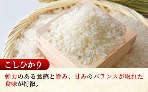 ☆令和7年産☆ 新米 『こしひかり』精米10kg(5kg×2袋) 出荷日に合わせて精米 コシヒカリ 米 お米 10kg コメ こめ 人気 銘柄 家計応援 家庭用 茨城県産 茨城県 五霞町【価格変更A】