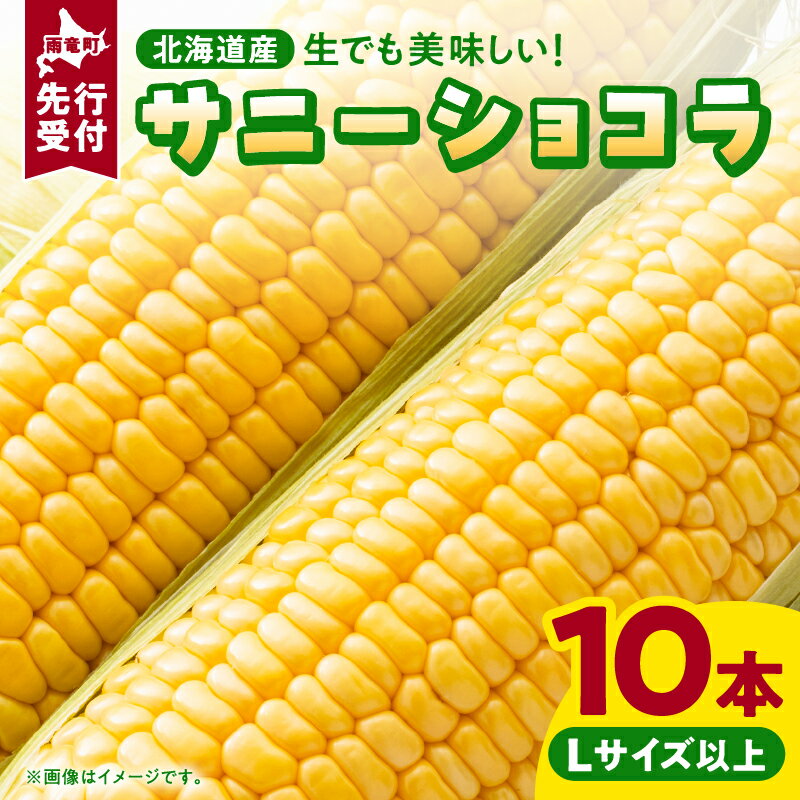 【ふるさと納税】【 令和7年産 先行予約 】生でも美味しい とうもろこし 「 サニーショコラ 」Lサイズ 10本 スイートコーン 野菜 コーン 産地直送 とうきび お取り寄せ BBQ バーベキュー キャンプ 甘い ソロキャン コーンマヨ コーンスープ 北海道 雨竜町 送料無料