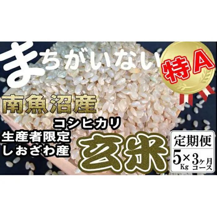 【令和7年産】【定期便】玄米 生産者限定 南魚沼しおざわ産コシヒカリ5Kg×3ヶ月
