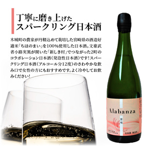 ＜【先行予約】令和7年産 木城町・毛呂山町 新しき村友情都市コラボ日本酒２種３本セット（城２本・Alabanza１本）＞ K21_0038