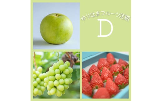 40K.ゆりはまフルーツ定期D