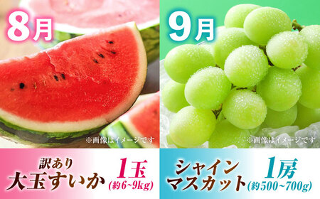 【先行予約】【全6回定期便】果物ざんまい定期便[AYZZ007]