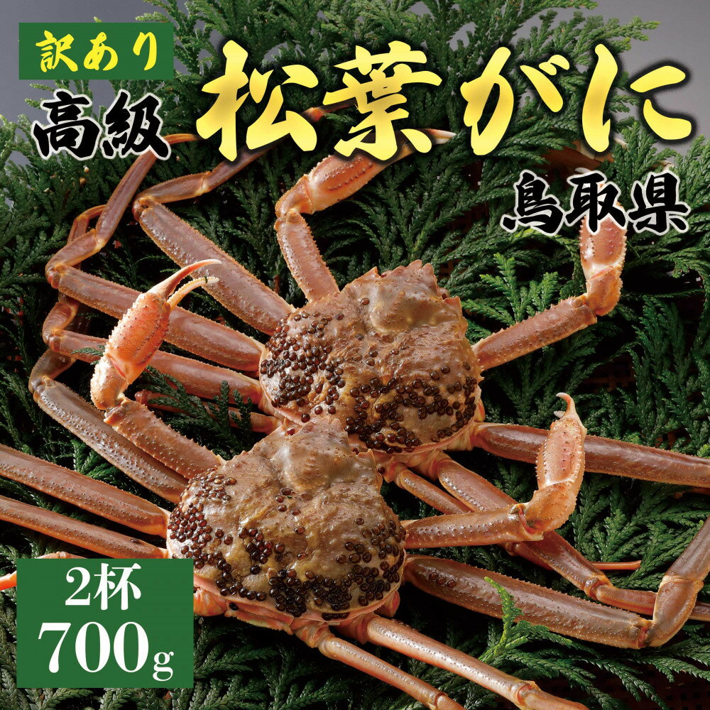 【ふるさと納税】【2025年11月発送】特撰 松葉がに（なま）【訳あり】700g超のサイズ 2杯