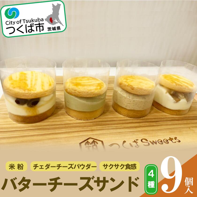 【ふるさと納税】つくばsweetsのつくばバターチーズサンド 9個セット(4種) | 茨城県 つくば市 スイーツ クッキー チーズ 米粉 甘味 おやつ おつまみ ワインに合う ウイスキーに合う 1413294
