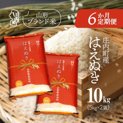 ふるさと納税 庄内町 【定期便】【令和7年産/8年産】はえぬき 5kg×2袋×6ヶ月 毎月 10kg【9月中旬発送】