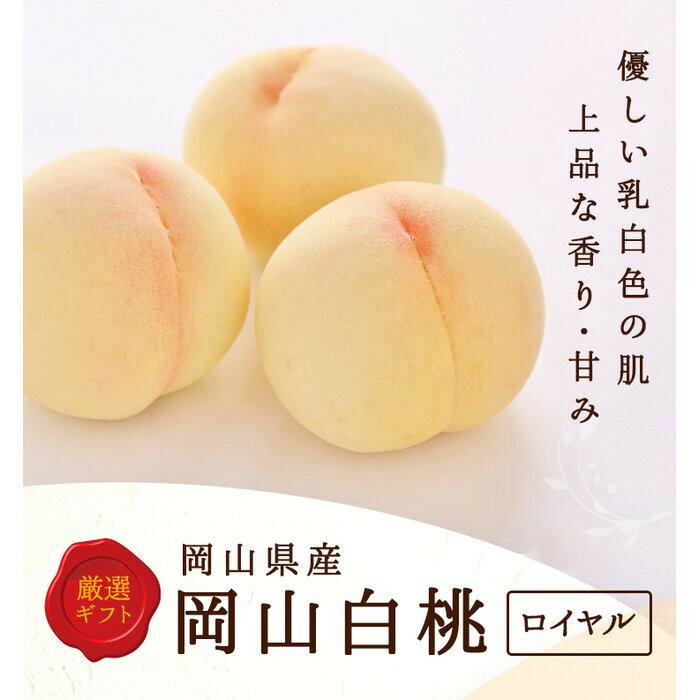 【ふるさと納税】【内容量が選べる】2026年 岡山県産 白桃5玉(1.5kg以上)～8玉(2kg以上) 等級：ロイヤル 木箱又は化粧箱入り | フルーツ 果物 くだもの 食品 人気 おすすめ 送料無料