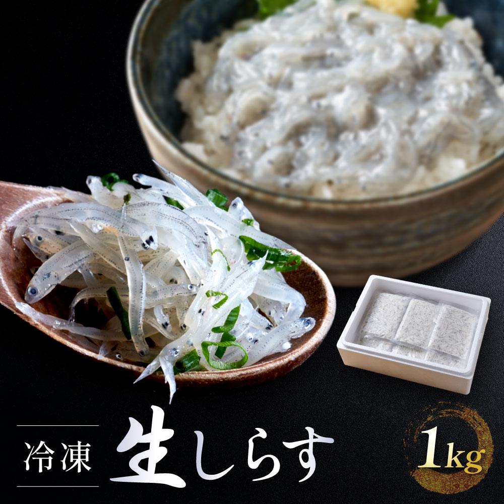 【ふるさと納税】冷凍生しらす　1kg（100g × 10）静岡県御前崎産 生しらす丼 10杯分 小分け 個包装 便利 大容量 徳用 海鮮丼 使いやすい食べきりサイズ どんぶり 刺身 おつまみ おかず 惣菜 晩ごはん | 魚 お魚 さかな 食品 人気 おすすめ 送料無料