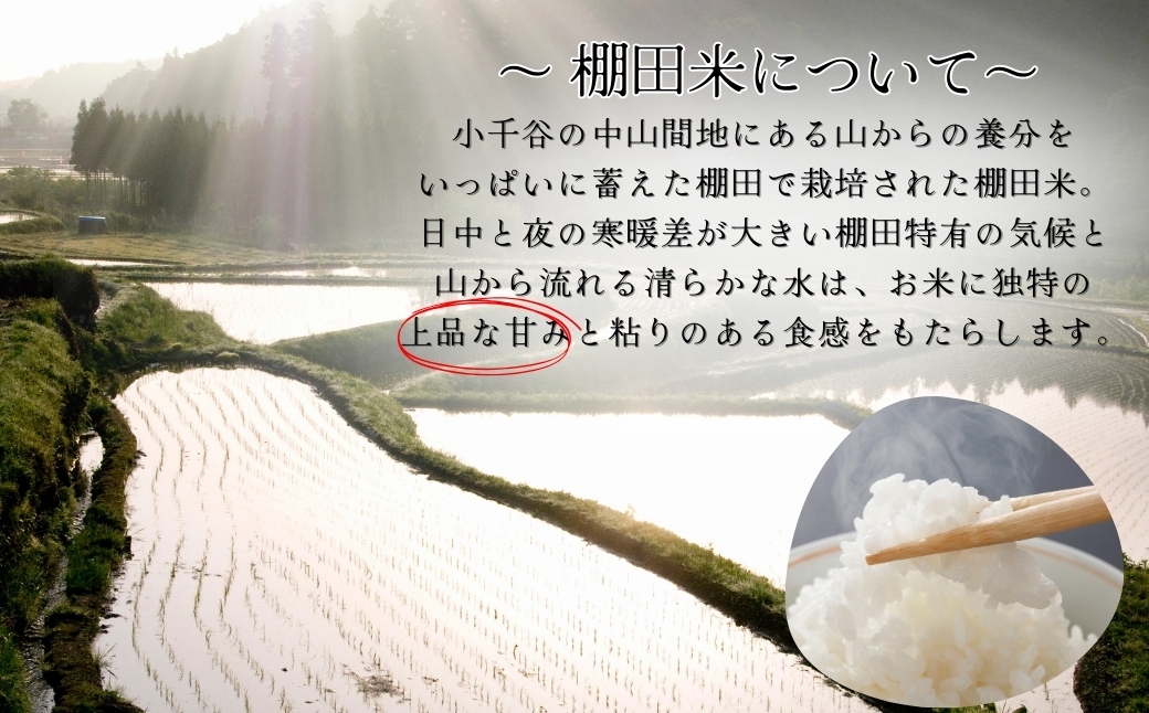 令和7年産 魚沼産コシヒカリ 棚田米 精米30kg(5kg×2袋×3回)定期便隔月発送【0002-RC08DB00-01】