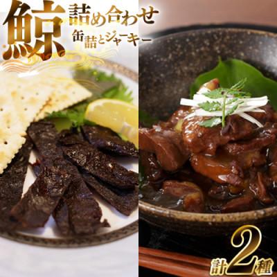 ふるさと納税 島原市 大和煮缶詰とジャーキーセット(各5個)(島原市)