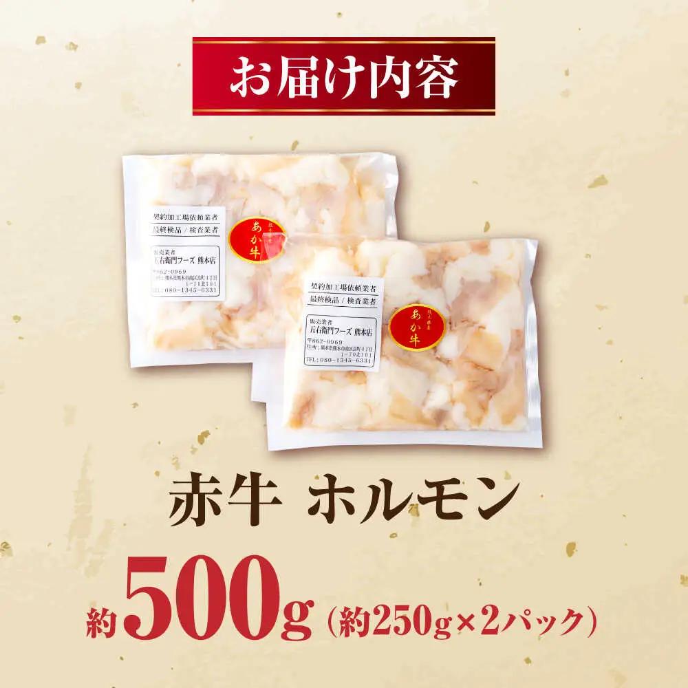 赤牛 ホルモン 500g（250g×2パック） ホルモン 牛肉   [AYBV040]
