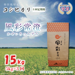 【3ヶ月定期便】【令和7年産】特別栽培米コシヒカリ「風彩常澄」計15kg（5kg×3回）【最高 ランク 特A コシヒカリ 水戸市 オリジナル ブランド 農林水産省大臣賞受賞 減農薬 減化学肥料 栽培 ふっくら 美味しい お米 ご飯】 （FC-103）