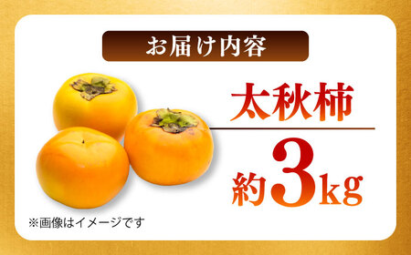 【先行予約】【数量限定】太秋柿 約3kg 【日本フルーツ株式会社】[ZFJ020]