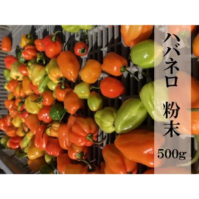 ふるさと納税 熊野市 【テレビで紹介されました】【熊野唐辛子】ハバネロ(粉末) 500g