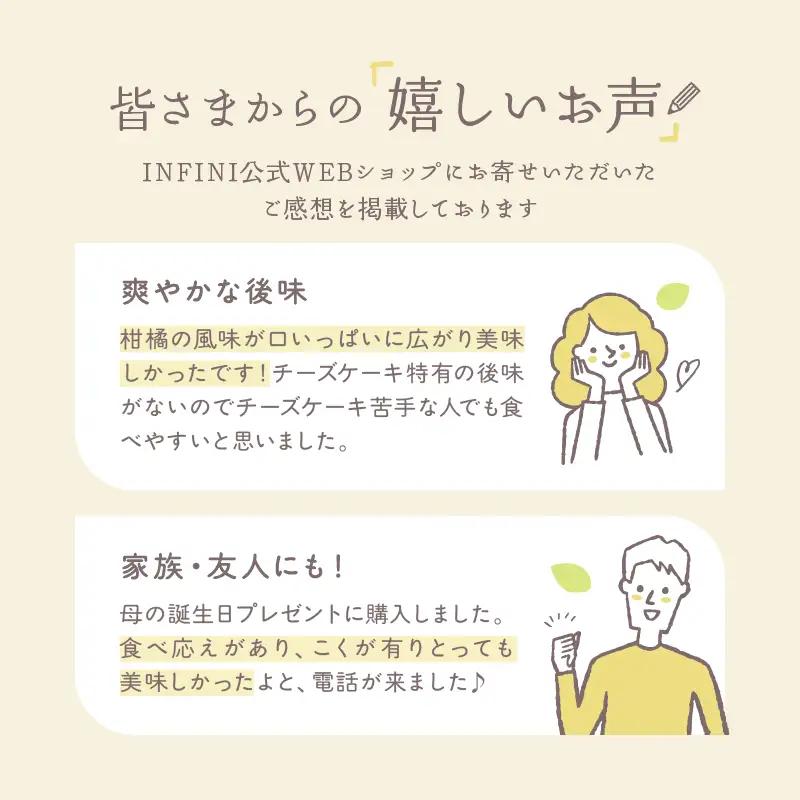 INFINI チーズケーキ KANKAN 濃厚テリーヌ 柑橘 冷凍スイーツ デザート ギフト ケーキ_0004-002-se4