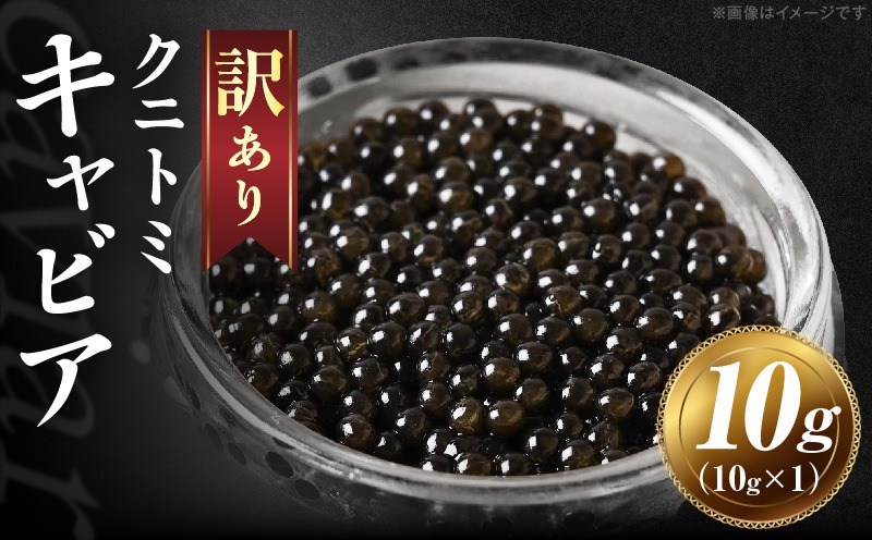 【訳あり】クニトミキャビア 10g(10g×1)  キャビア 国産 国産キャビア 高級 宮崎県産 珍味 おつまみ 酒の肴 家飲み 冷凍 訳あり お取り寄せ グルメ パーティー ワイン シャンパン 記念日 ご褒美 おもてなし 魚卵 宮崎県 国富町