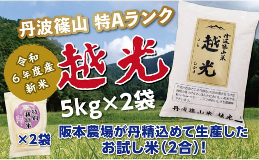 令和６年産　新米予約受付！！丹波篠山産特Aランク越光（５kｇ×２袋）