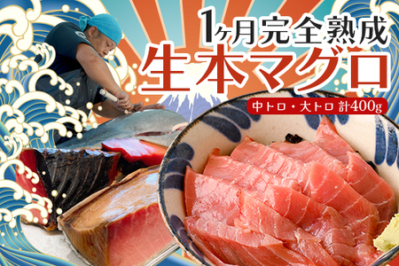 熟成 生 本マグロ 大トロ 中トロ 2種 計400g 各200g 冷蔵 刺身用 国産 熟成本まぐろ