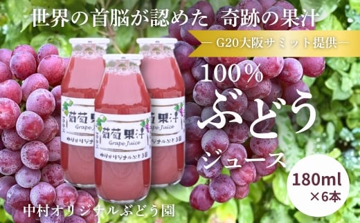 
            ぶどうジュース 100%  G20大阪サミット提供 中村オリジナルぶどう園 砂糖不使用 無添加 無加水 高糖度20度超 世界が認めた高級ストレートジュース ギフト 贈答品 日本製 国産ぶどう使用 限定 大阪 河内長野 甘い 濃厚 飲みきり おいしい 美味しい ポリフェノール 小瓶 小分け ぶどう ブドウ 高級 
          