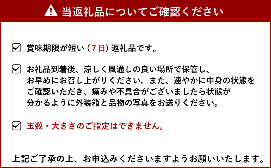 国産リスボンレモン 約2.5kg 吉田レモニー 檸檬 柑橘