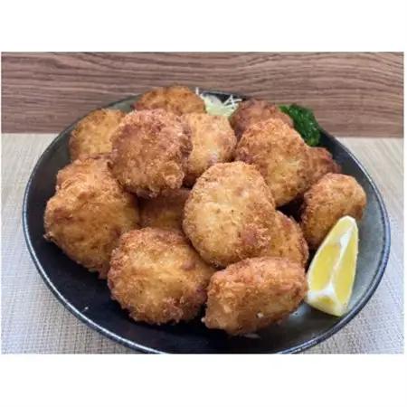 【湖西ポーク使用】冷凍餃子・冷凍串カツ・冷凍ロールキャベツ・冷凍ミニメンチカツ　絶品4点セット【配送不可地域：離島】【1700008】