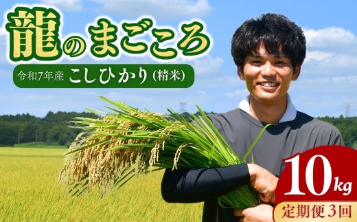 ＜3ヵ月定期便＞【令和7年産】龍ケ崎のコシヒカリ 10kg(5kg×2袋) ❙ こしひかり コシヒカリ お米 米 こめ 白米 精米 冷めてもおいしい 美味しい こだわり いばらきみどり認定 おにぎり 茨城県 龍ケ崎市産