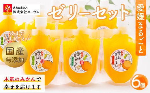 【皮までまるごと国産無添加】愛媛まるごとゼリーセット（6個） 【 ふるさと納税 人気 おすすめ ランキング みかん ミカン 蜜柑 ゼリー セット フルーツ 果物 ニュウズ 愛媛県 伊方町 送料無料 】 IKTF011