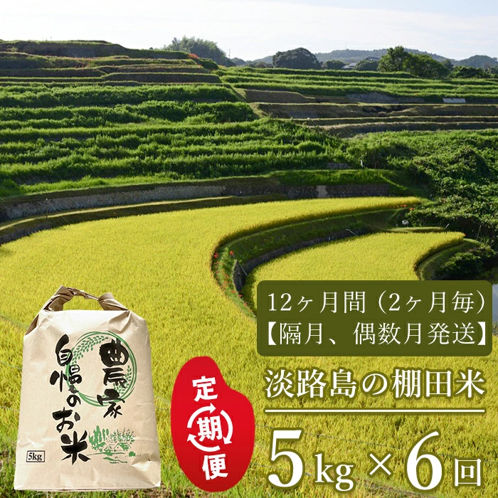 【定期便】淡路島の棚田米　5kg×6回（隔月、偶数月発送）白米