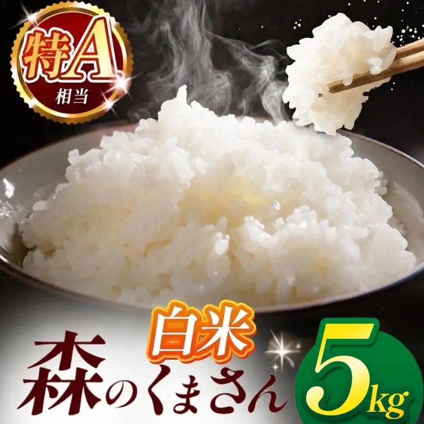 令和7年産 熊本県産 森のくまさん 白米 5kg 米 こめ