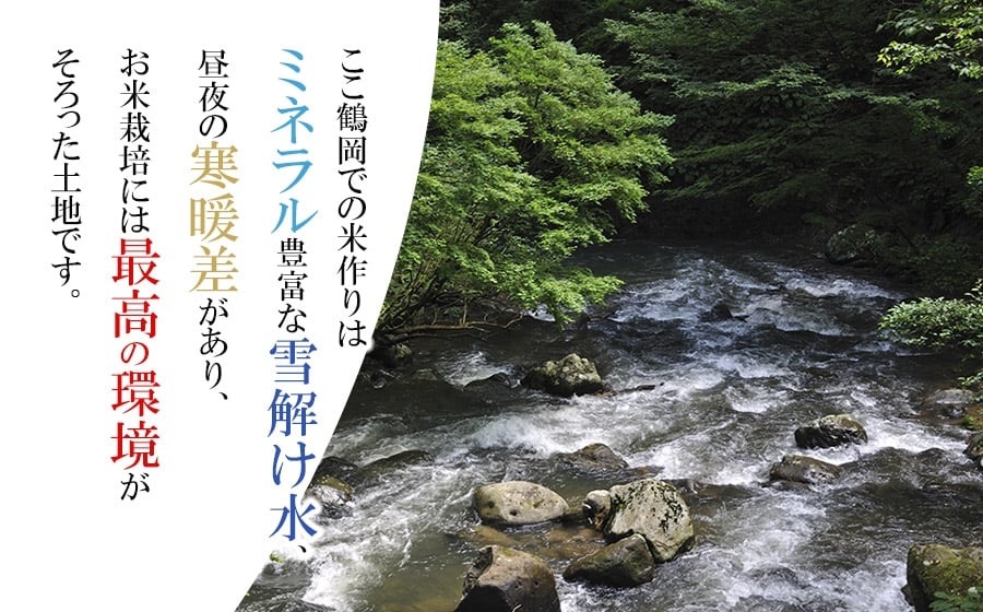 【令和7年産】【定期便】 山形 はえぬき 精米 10kg(5kg×2袋)×3ヶ月　山形県鶴岡市産　株式会社菜な八（鶴岡ファーマーズ）