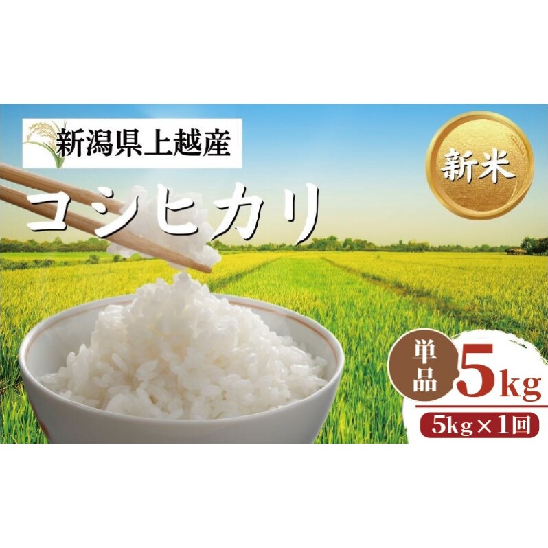 【令和8年12月配送】令和8年産 新潟県上越市産 コシヒカリ 5kg 新米 先行予約 こしひかり 大潟ナショナルカントリー