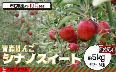 りんご【訳あり】家庭用 シナノスイート 約5kg