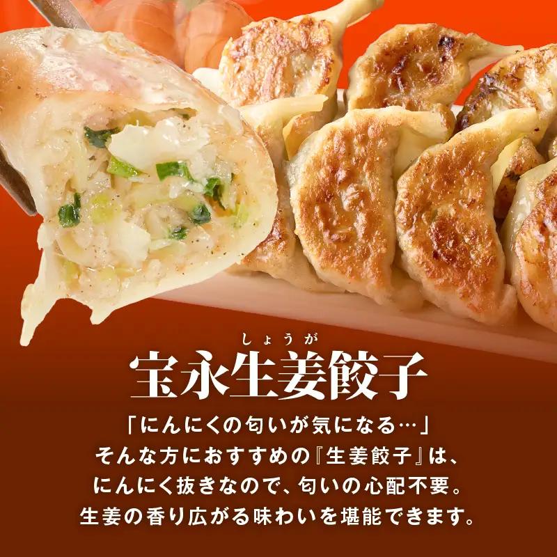 【定期便・全3回 毎月】手包み餃子 ぎょうざの宝永 生姜餃子60個セット（宝永餃子15個入×2袋・生姜餃子15個入×2袋） T004-T05-02-02 定期便 定期 惣菜 総菜 餃子