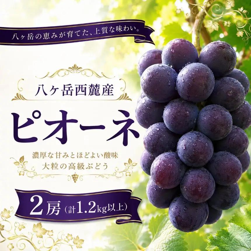八ヶ岳西麓産 ピオーネ 2房（計1.2kg以上）【2026年10月上旬～発送】
