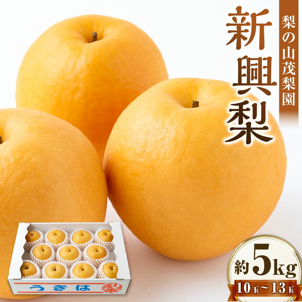 【ふるさと納税】 【先行予約】梨の山茂梨園 新興梨 10玉から13玉 (約5kg) 2026年10月上旬から11月上旬 出荷予定 梨 なし ナシ フルーツ 果実 果物 常温 送料無料 福岡県 うきは市