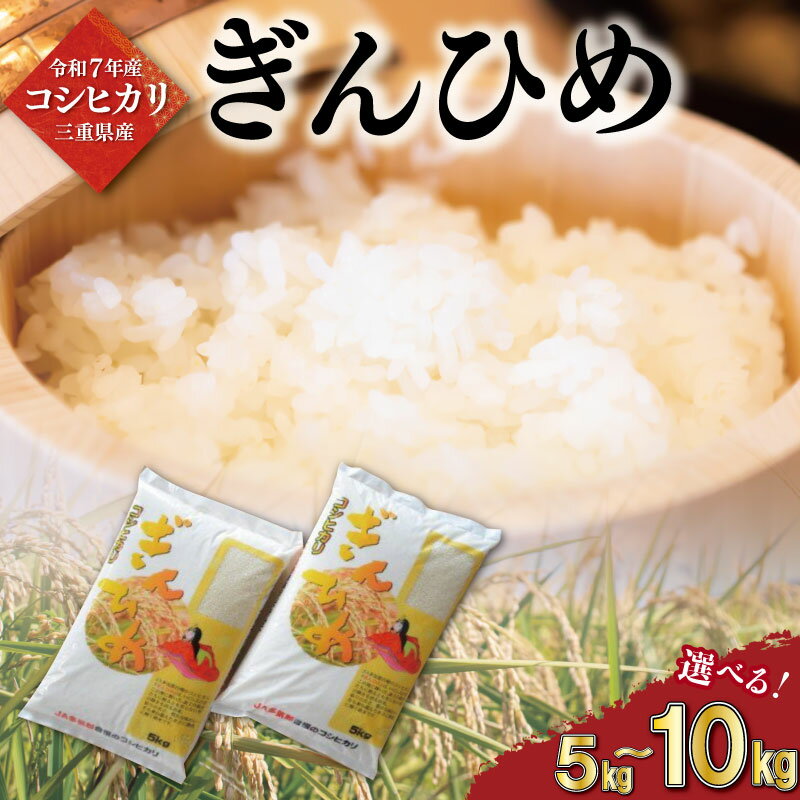 【ふるさと納税】 三重県産 コシヒカリ ぎんひめ 精米 5kg 10kg ふるさと納税 ふるさと 米 コメ こめ おこめ ギフト プレゼント 贈答 贈り物 御祝い お祝い返礼品 人気 お取り寄せ 三重米 お米 新米 白米 精米 ブランド米 国産 JA