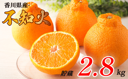 不知火 選べる 約2.8kg 貯蔵 冷蔵 先行予約 フルーツ 果物 柑橘 しらぬい みかん ふるさと納税みかん 香川県 丸亀市 ｼﾗﾇｲ ｼﾗﾇｲ ｼﾗﾇｲ 【goshiki035】