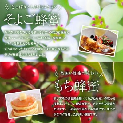 ふるさと納税 八女市 かの蜂の国産蜂蜜 4種セット とんがりポリ容器 2kg(500g×4) |  | 02