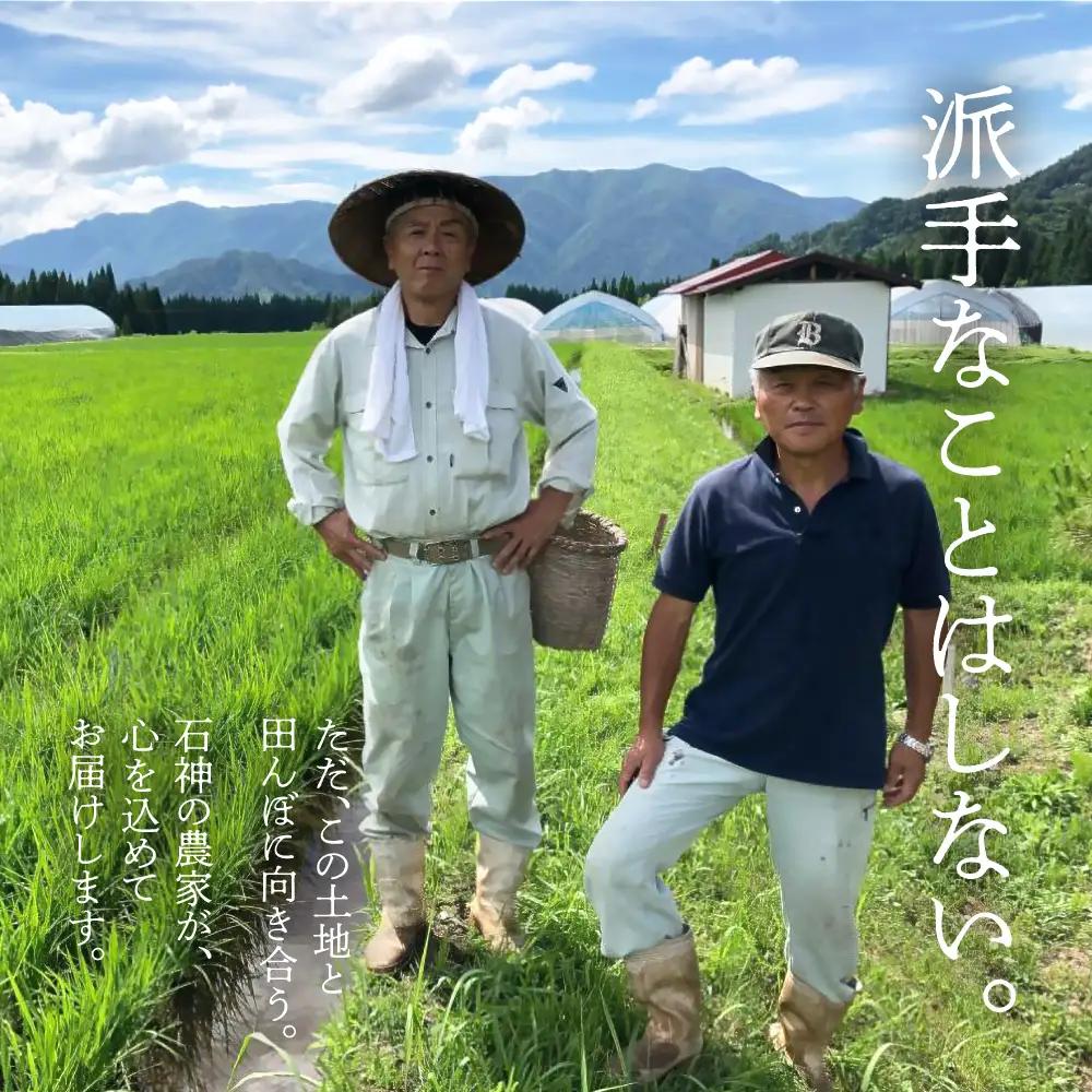 令和8年産 米 石神米 コシヒカリ10kg / 米 コシヒカリ