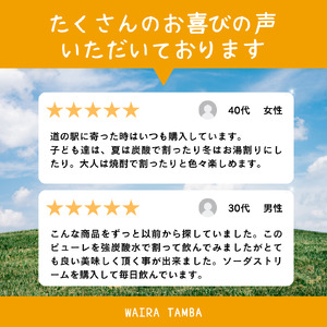 梅ピューレUMEBERRY 1本 ( ブルーベリーピューレ 梅ベリーピューレ 果物ピューレ 京都ピューレ )