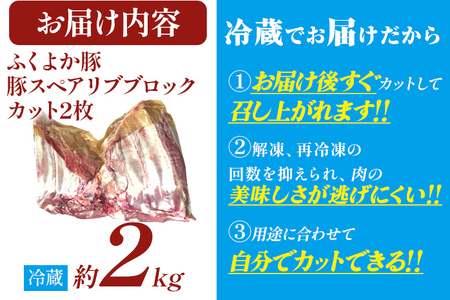豚肉 スペアリブブロックカット 約2kg 豚肉