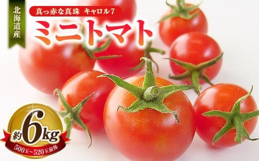 
            ミニトマト 約6kg 野菜 トマト キャロルセブン とまと 高糖度 浦臼産 北海道産 国産 6kg 北海道 浦臼町 【2026年7月下旬～9月上旬発送予定】
          