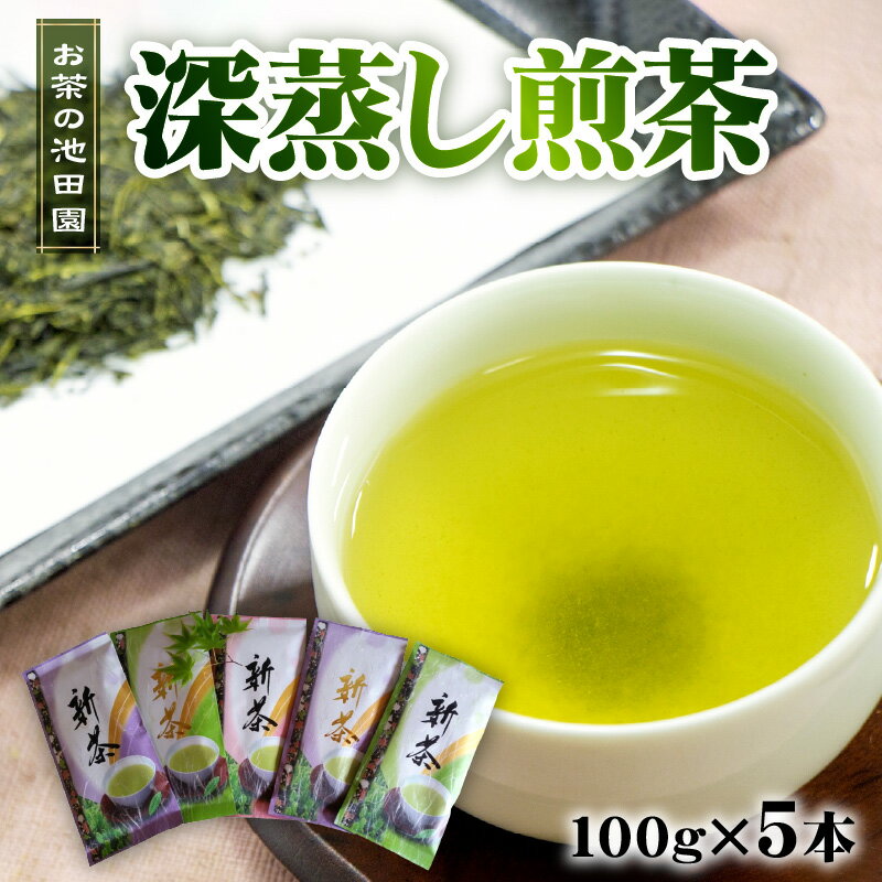 【ふるさと納税】 お茶の池田園 深蒸し煎茶100g×5本【熊本県宇土市】