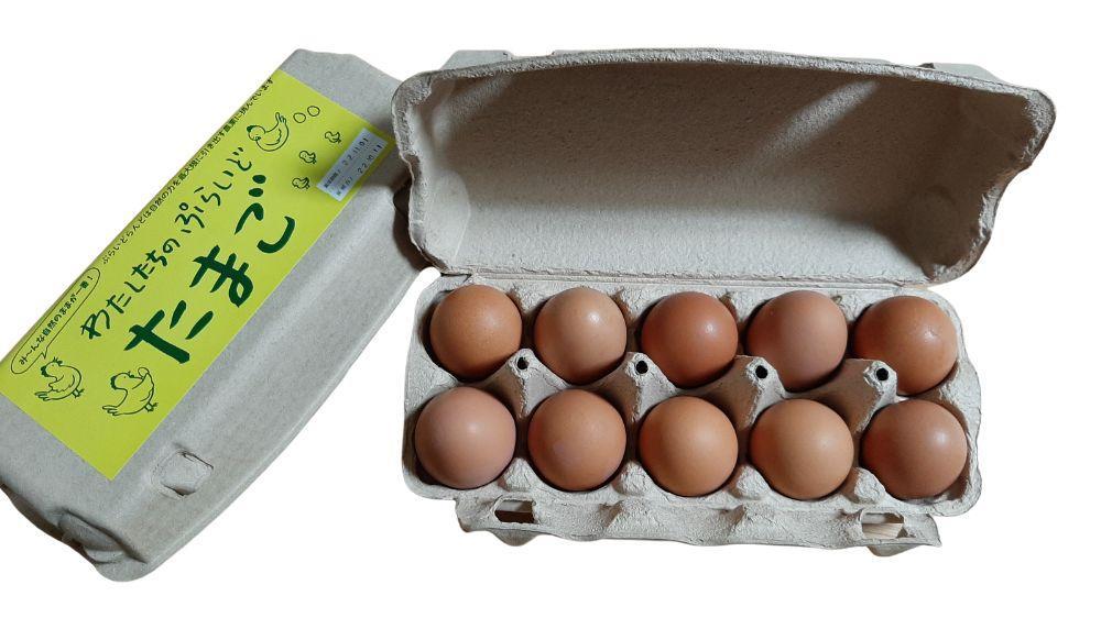 【定期便：12か月】【食べチョクアワード2025 畜産部門 1位の日本一のたまご】単なる平飼いではない究極の卵『わたしたちのぷらいどたまご』3パック（30個）セット