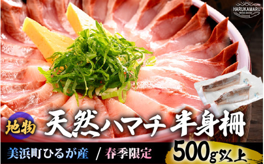 天然！地物！ひるがの春ハマチ 柵2本【合計500g以上】はまち ハマチ ぶり ブリ 鰤 出世魚 しゃぶしゃぶ 照り焼き 塩焼き 煮付け 生食 刺身 海鮮丼 日向 福井 美浜 海鮮 冷凍 旬 プレゼント [m36-a011]