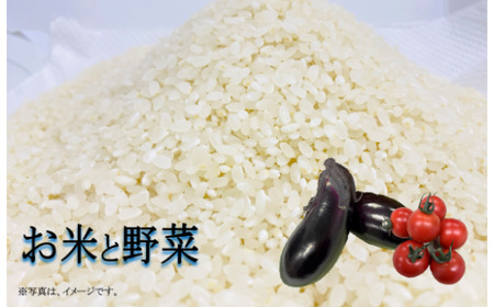 新米 3kg 野菜セット 令和8年度産 TR-01
