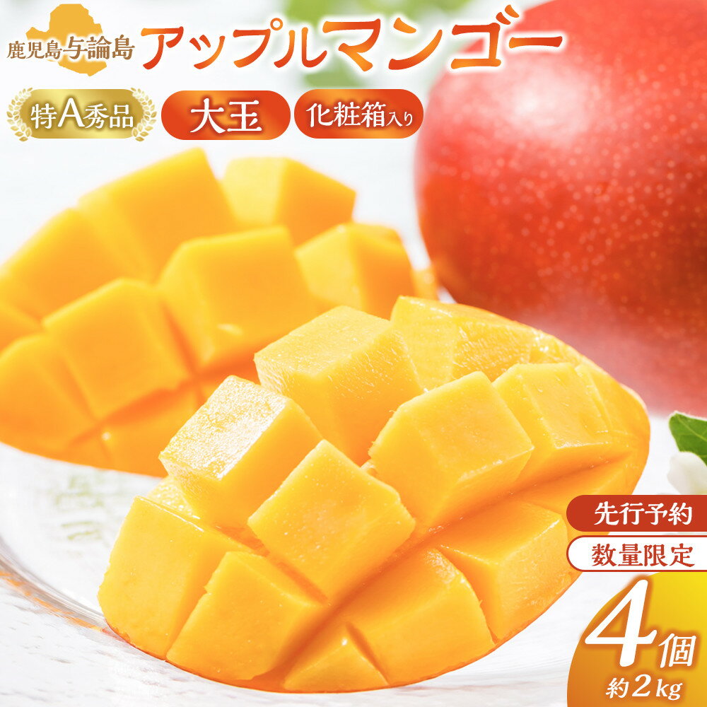 【ふるさと納税】【数量限定】鹿児島 与論島アップルマンゴー特A秀品大玉4個約2kg化粧箱入り【先行予約】 | 果物 アップルマンゴー アーウイン マンゴー フルーツ ご当地 グルメ 人気 おすすめ 送料無料 与論 与論島 ヨロン 鹿児島県 九州